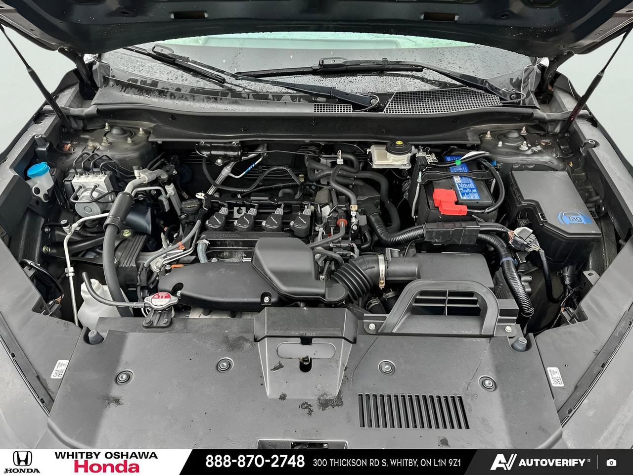 2023 Honda CR-V  Photo