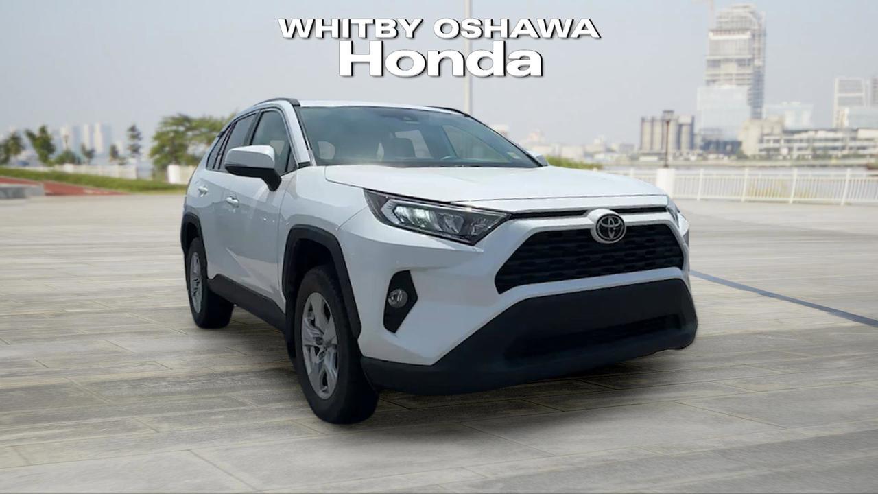 2019 Toyota RAV4 AWD XLE Photo