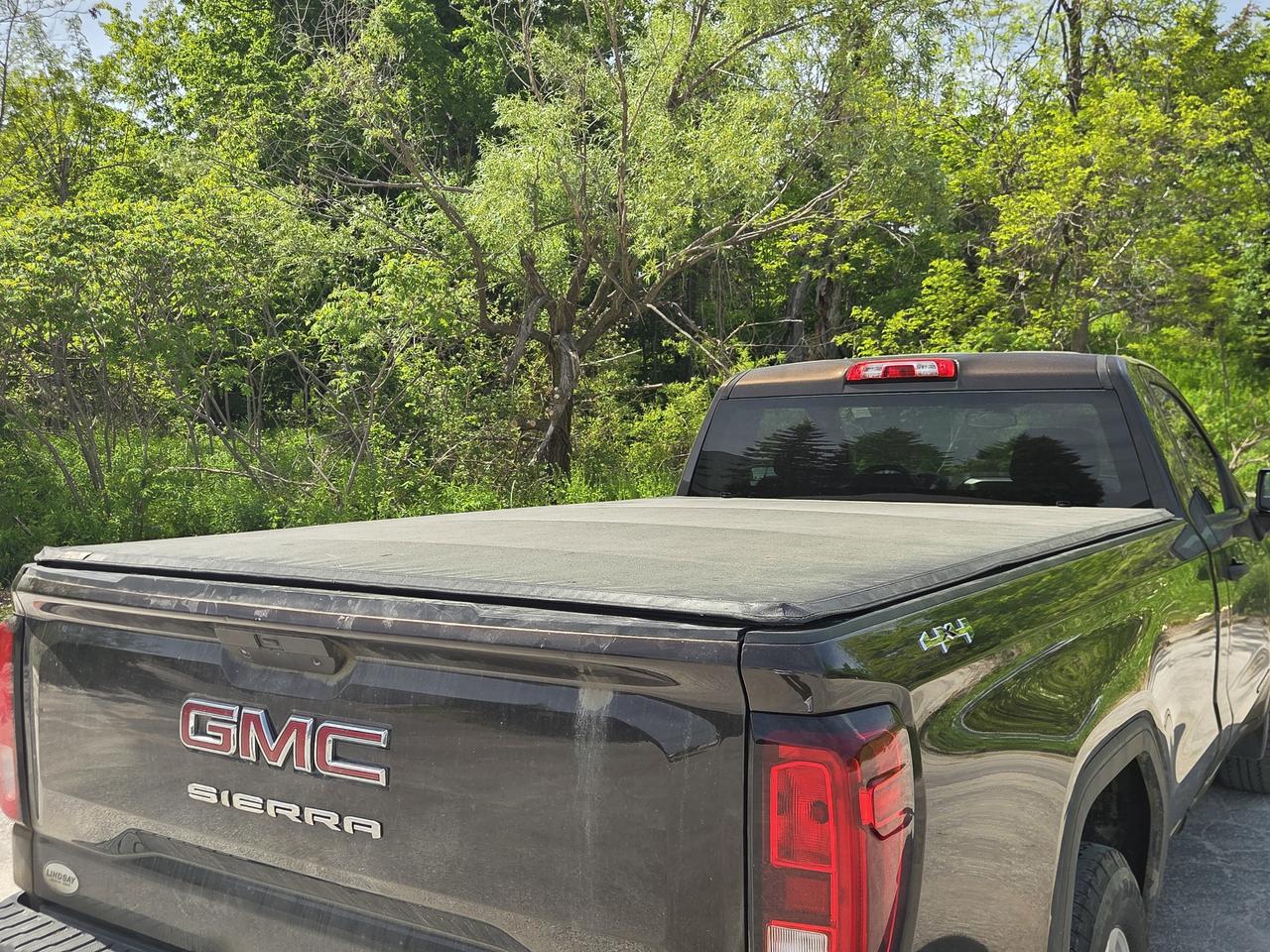 2019 GMC Sierra 1500 4WD Reg Cab 140 Photo