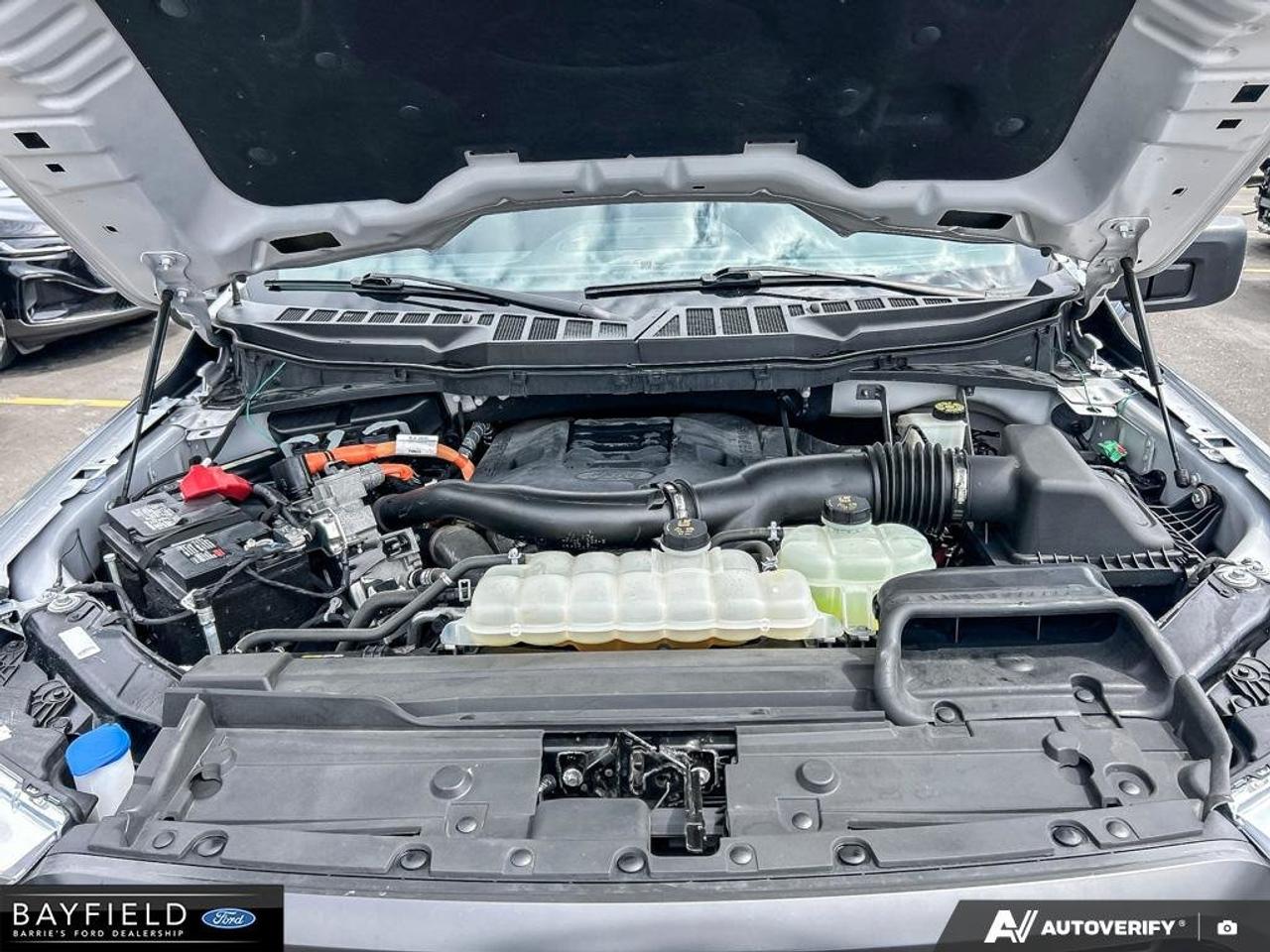 2022 Ford F-150  Photo