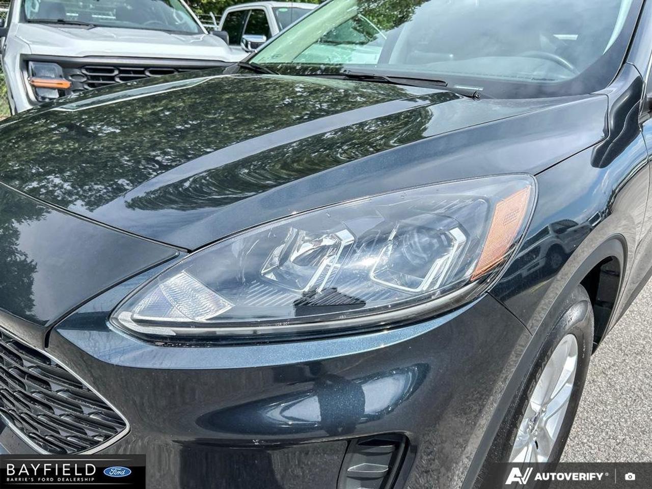 2022 Ford Escape SE Photo