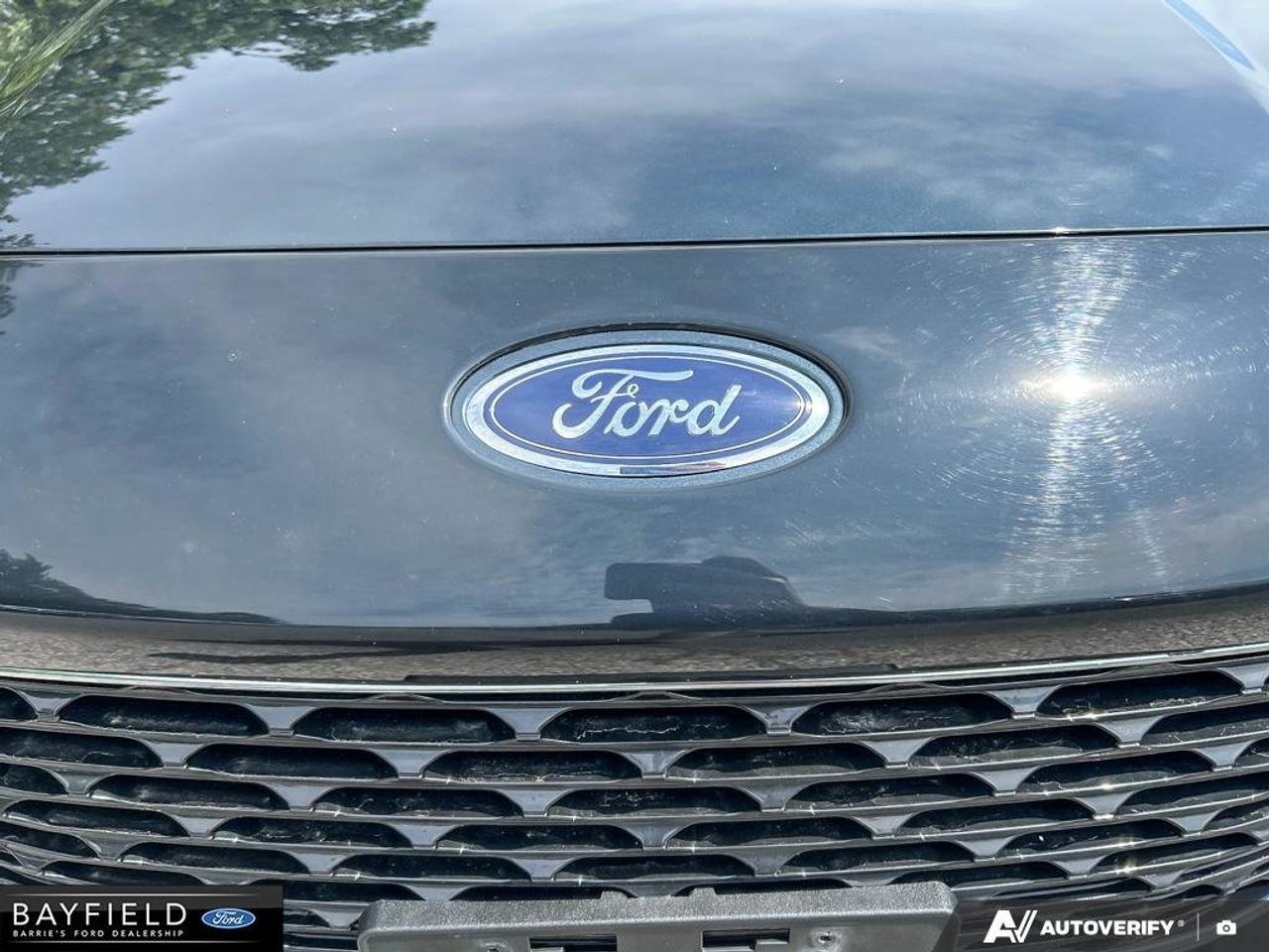 2022 Ford Escape SE Photo