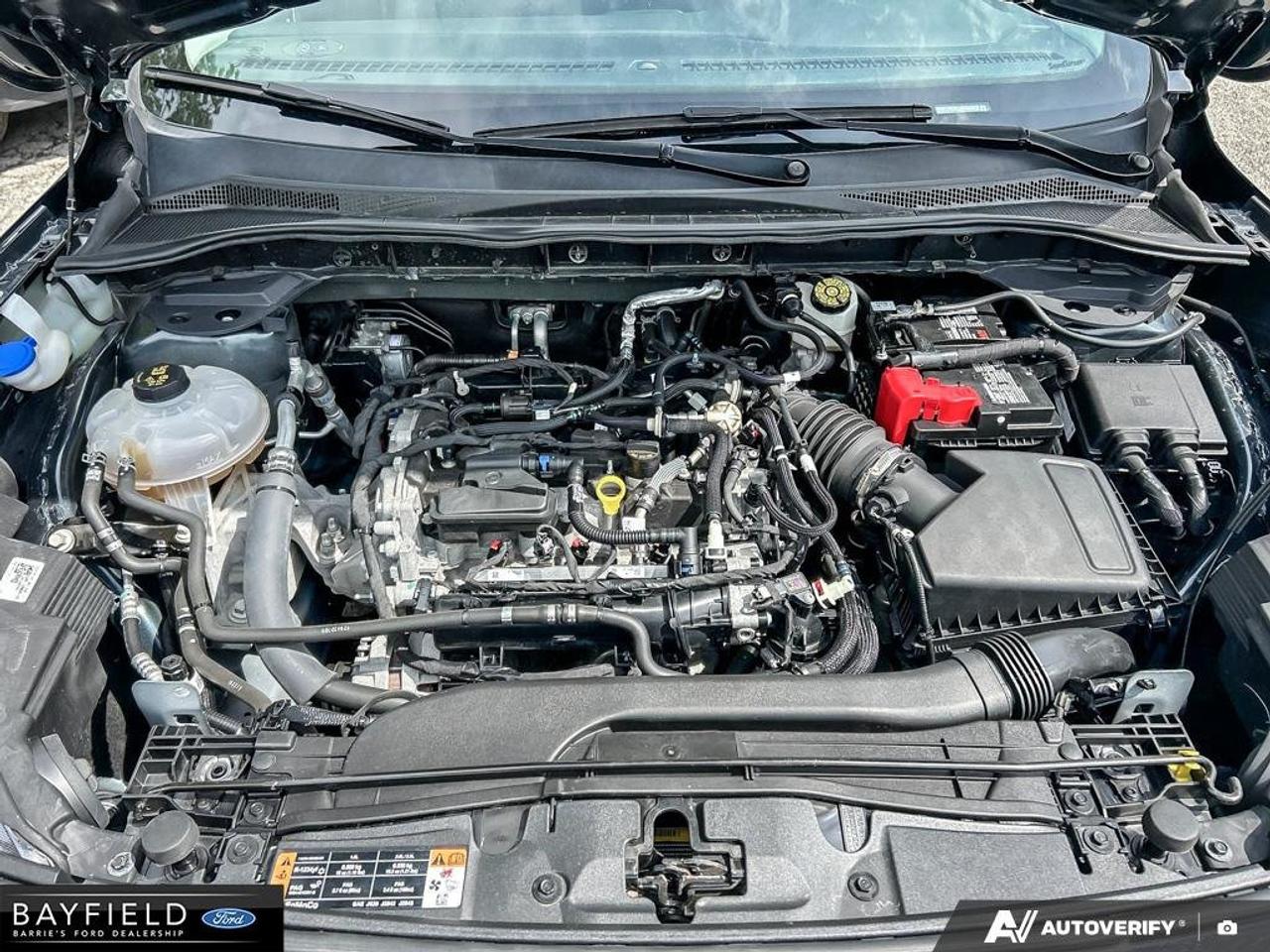 2022 Ford Escape SE Photo