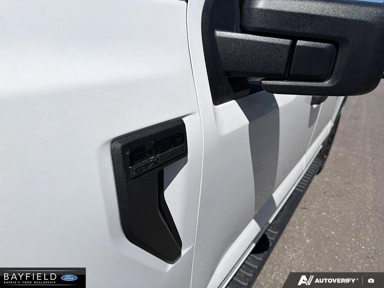 2026 Ford F-150 STX Photo