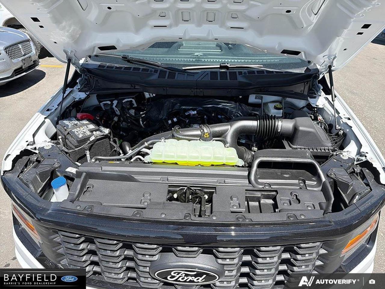 2026 Ford F-150 STX Photo