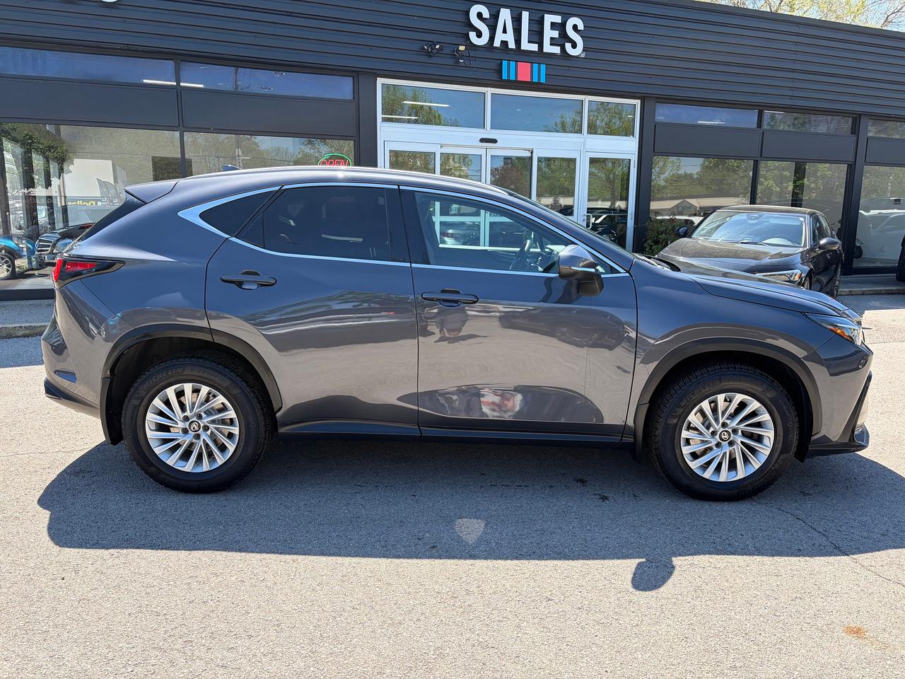 2022 Lexus NX NX 350 Photo