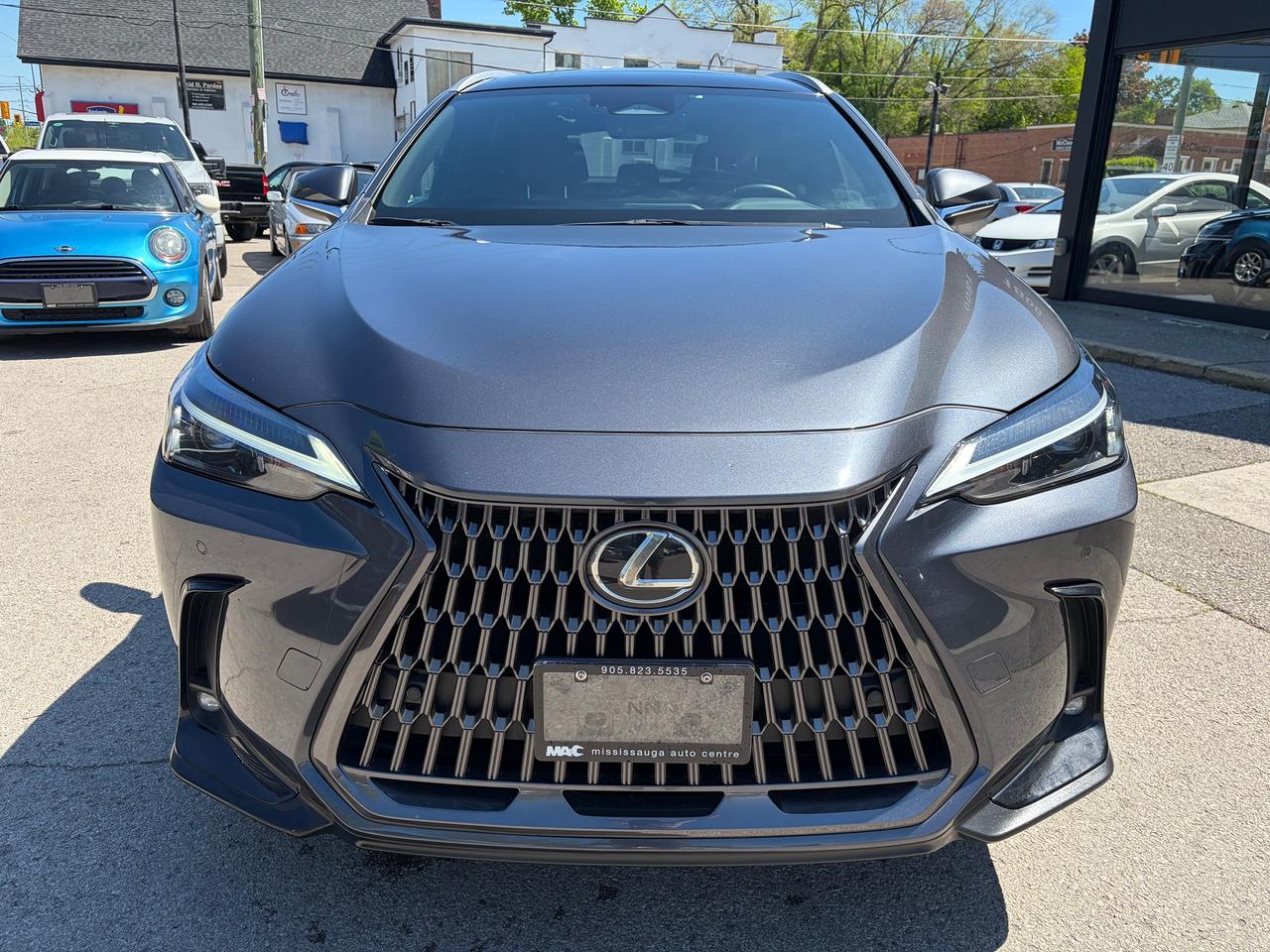 2022 Lexus NX NX 350 Photo