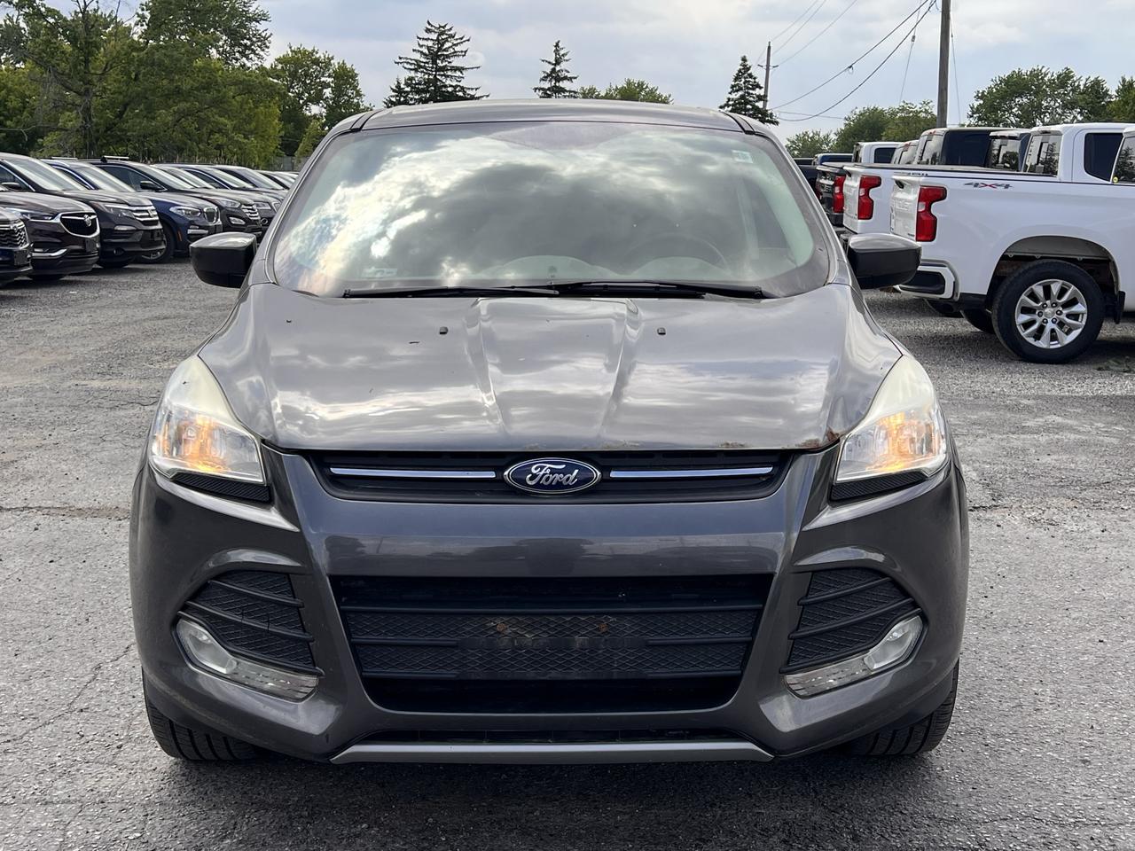 2015 Ford Escape SE Photo