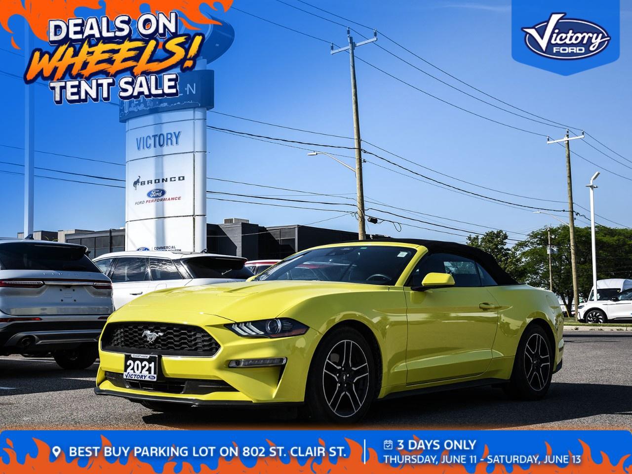 Used 2021 Ford Mustang EcoBoost Premium Convertible for sale in Chatham, ON