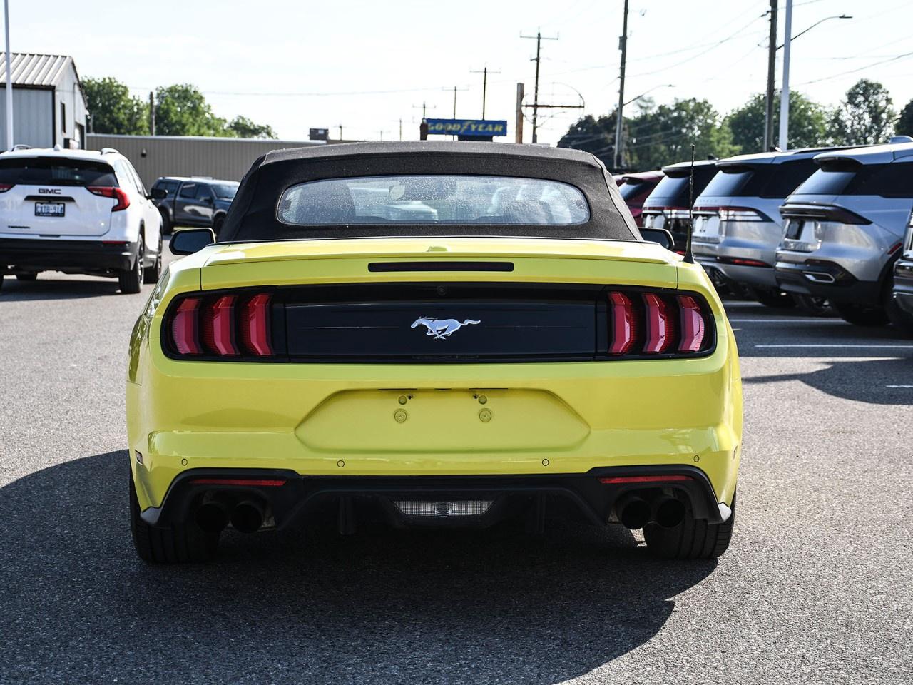 2021 Ford Mustang EcoBoost Premium Convertible Photo