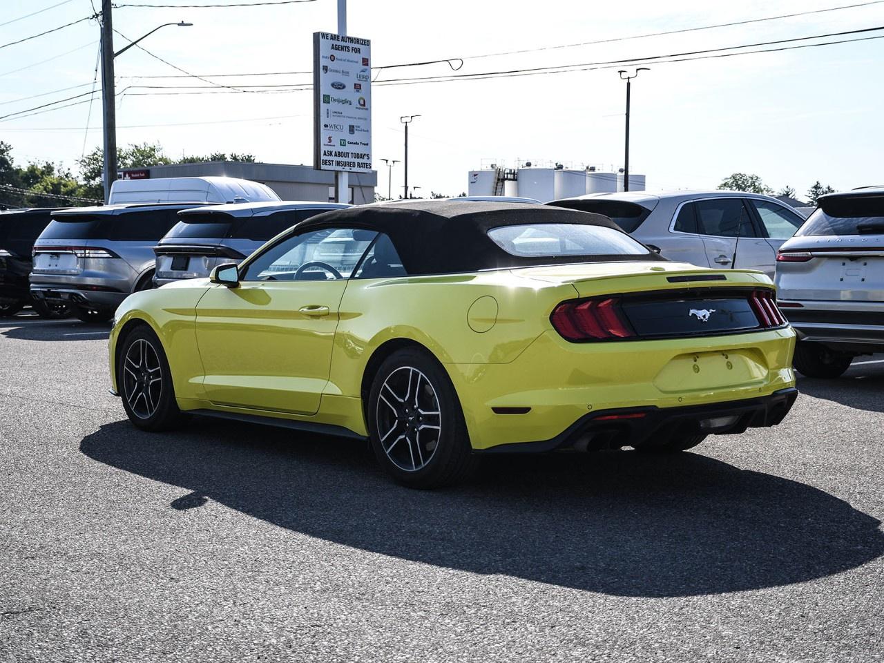 2021 Ford Mustang EcoBoost Premium Convertible Photo
