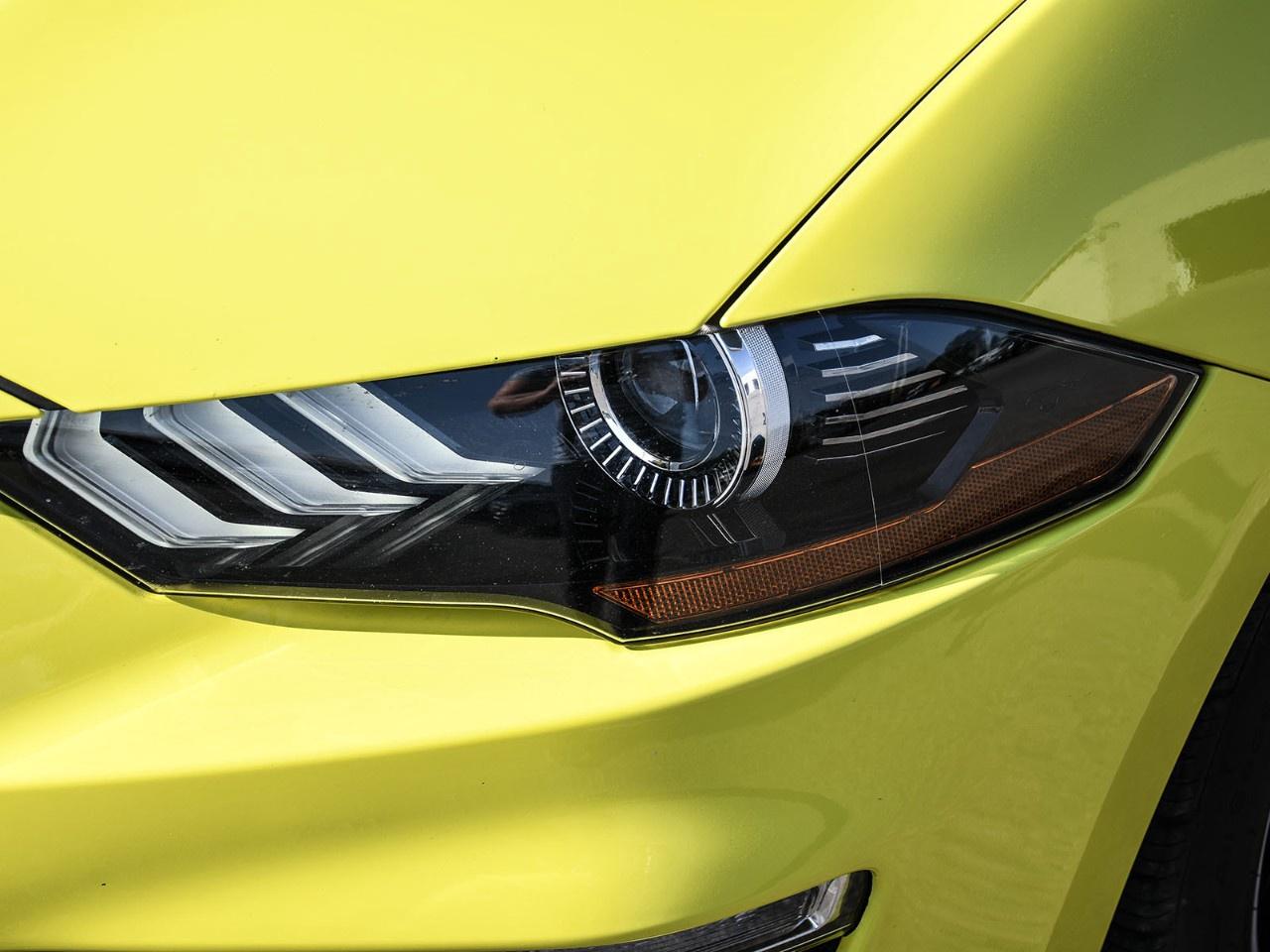 2021 Ford Mustang EcoBoost Premium Convertible Photo