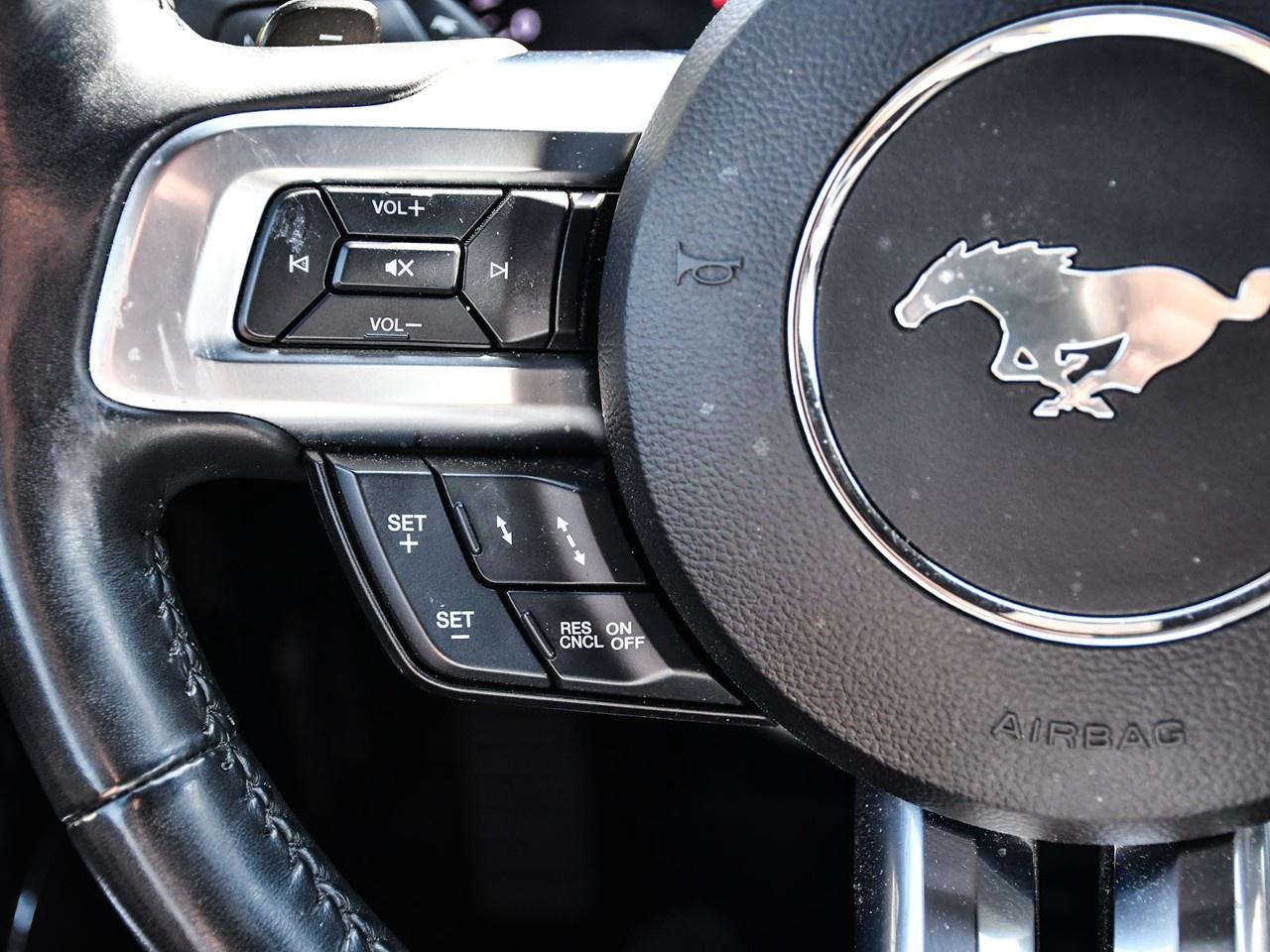 2021 Ford Mustang EcoBoost Premium Convertible Photo