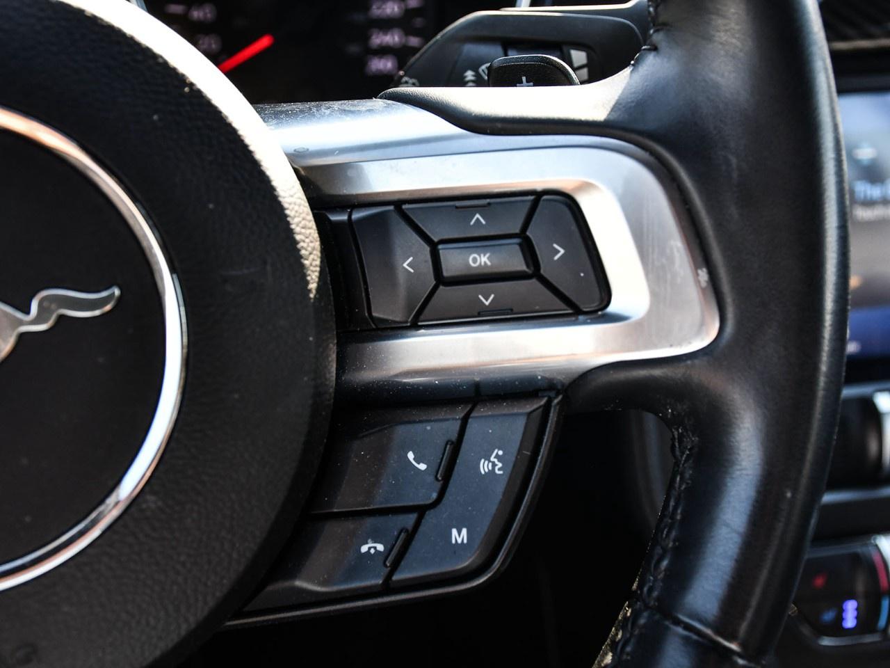 2021 Ford Mustang EcoBoost Premium Convertible Photo