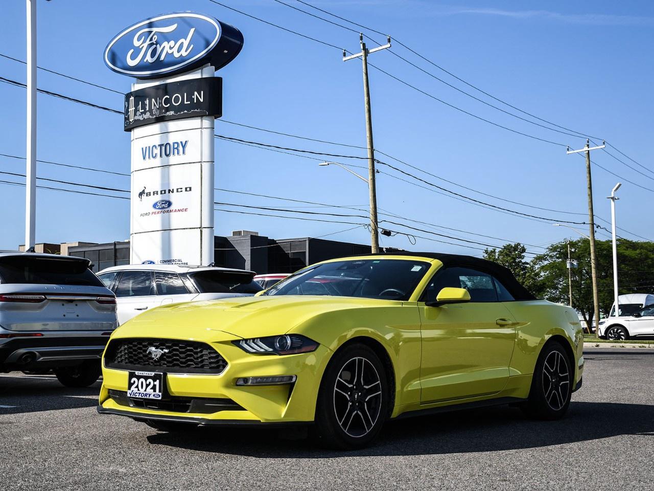 2021 Ford Mustang EcoBoost Premium Convertible Photo