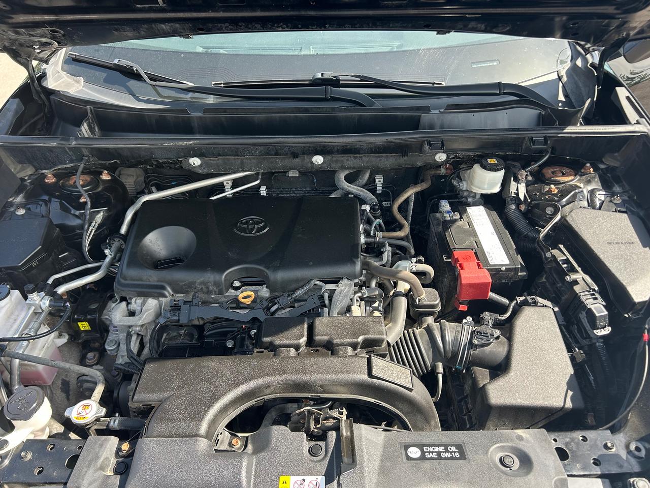 2019 Toyota RAV4 TRAIL Photo