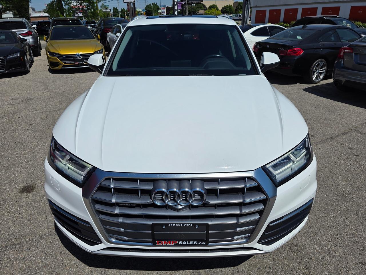 2019 Audi Q5 Technik Photo