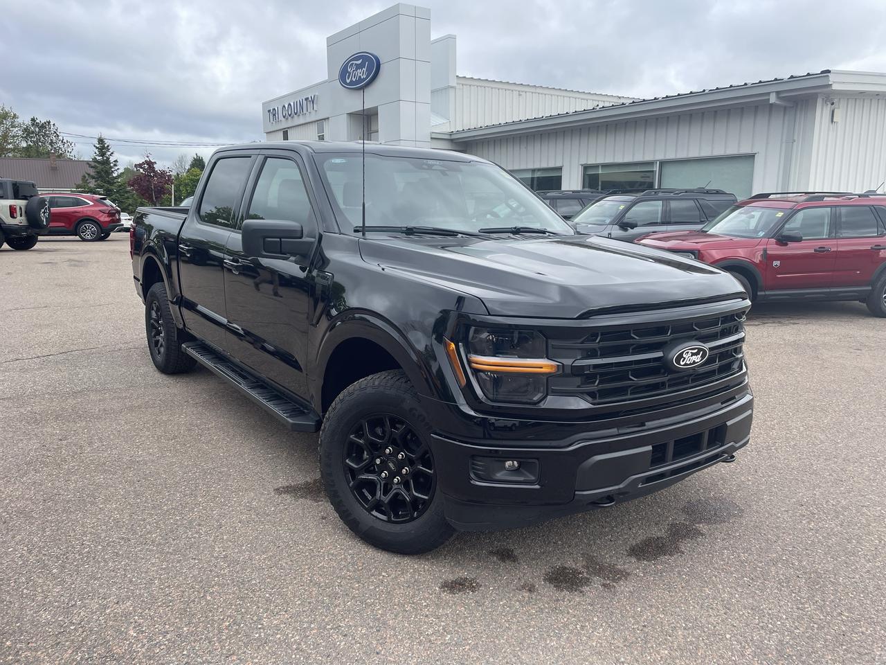 2026 Ford F-150 XLT Photo0