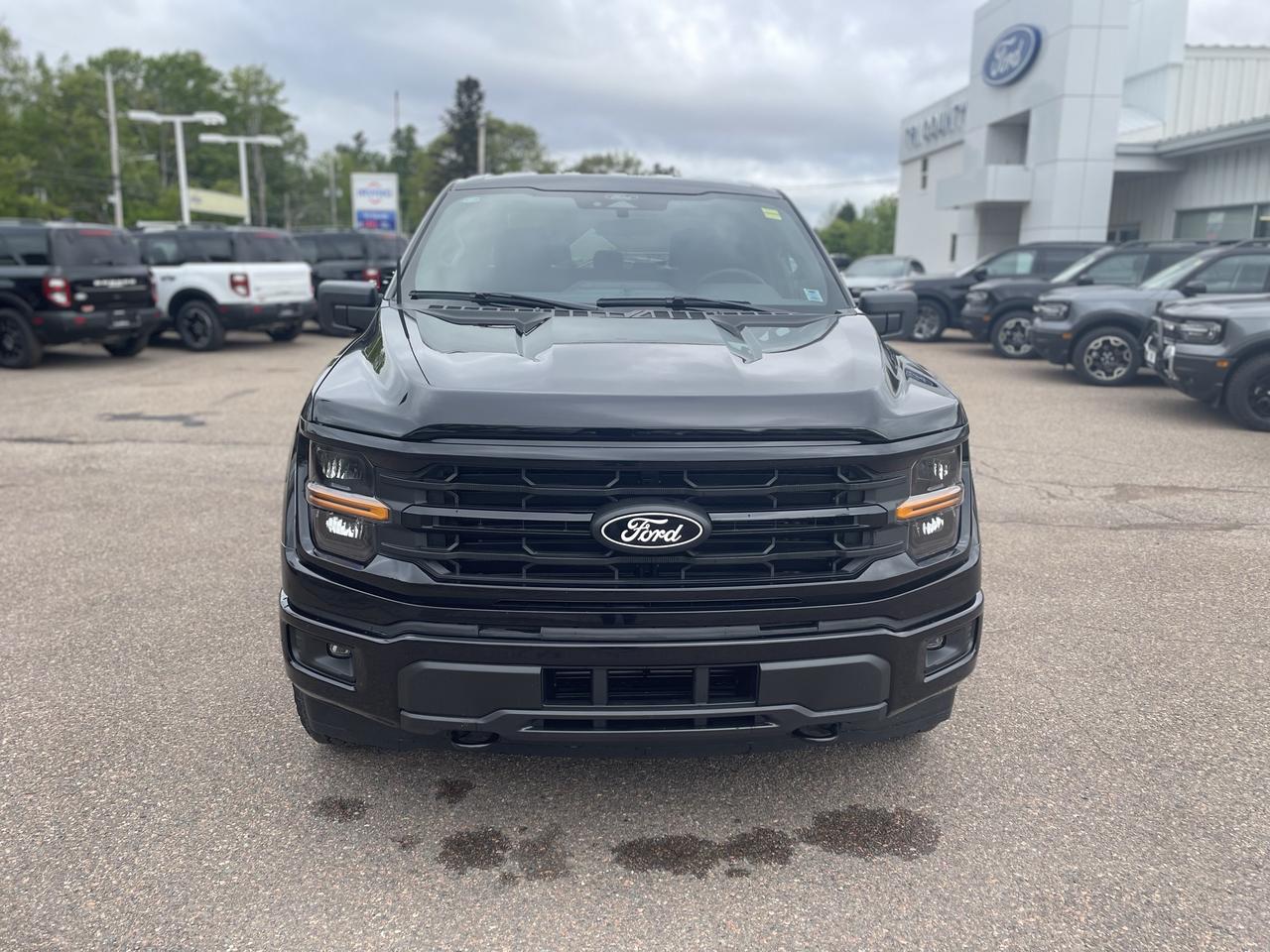 2026 Ford F-150 XLT Photo1