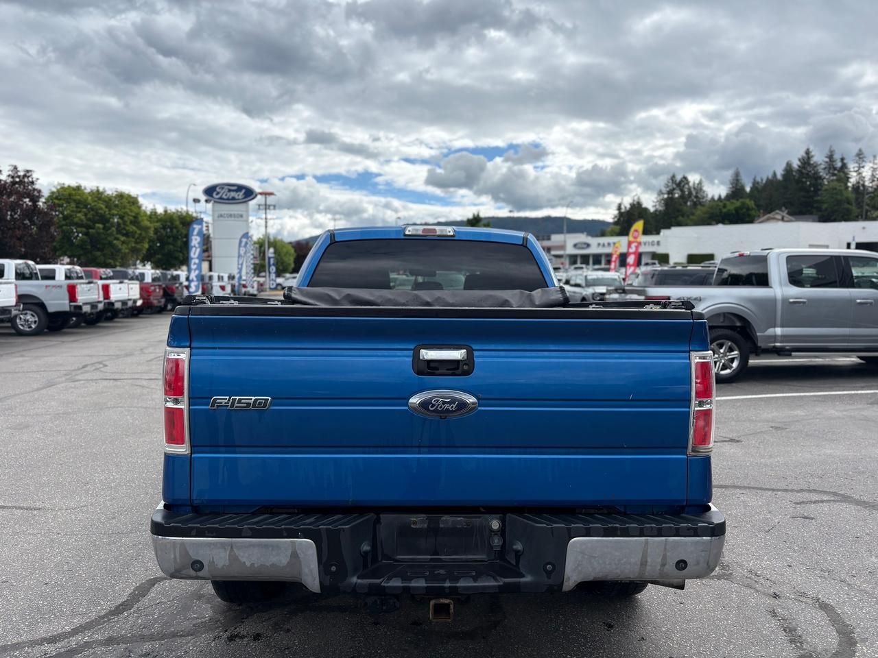 2014 Ford F-150 XLT Photo3