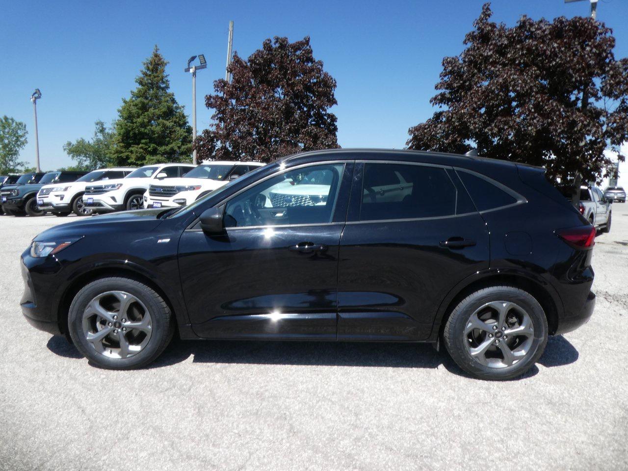 2024 Ford Escape ST-Line | Heated Seats | Backup Cam | Heated Steering Wheel | Photo