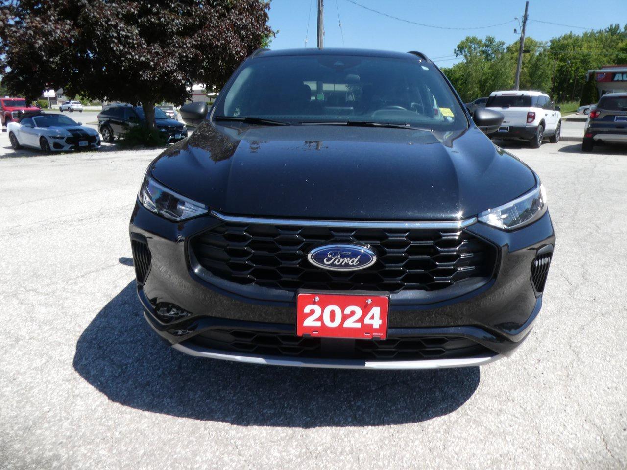 2024 Ford Escape ST-Line | Heated Seats | Backup Cam | Heated Steering Wheel | Photo