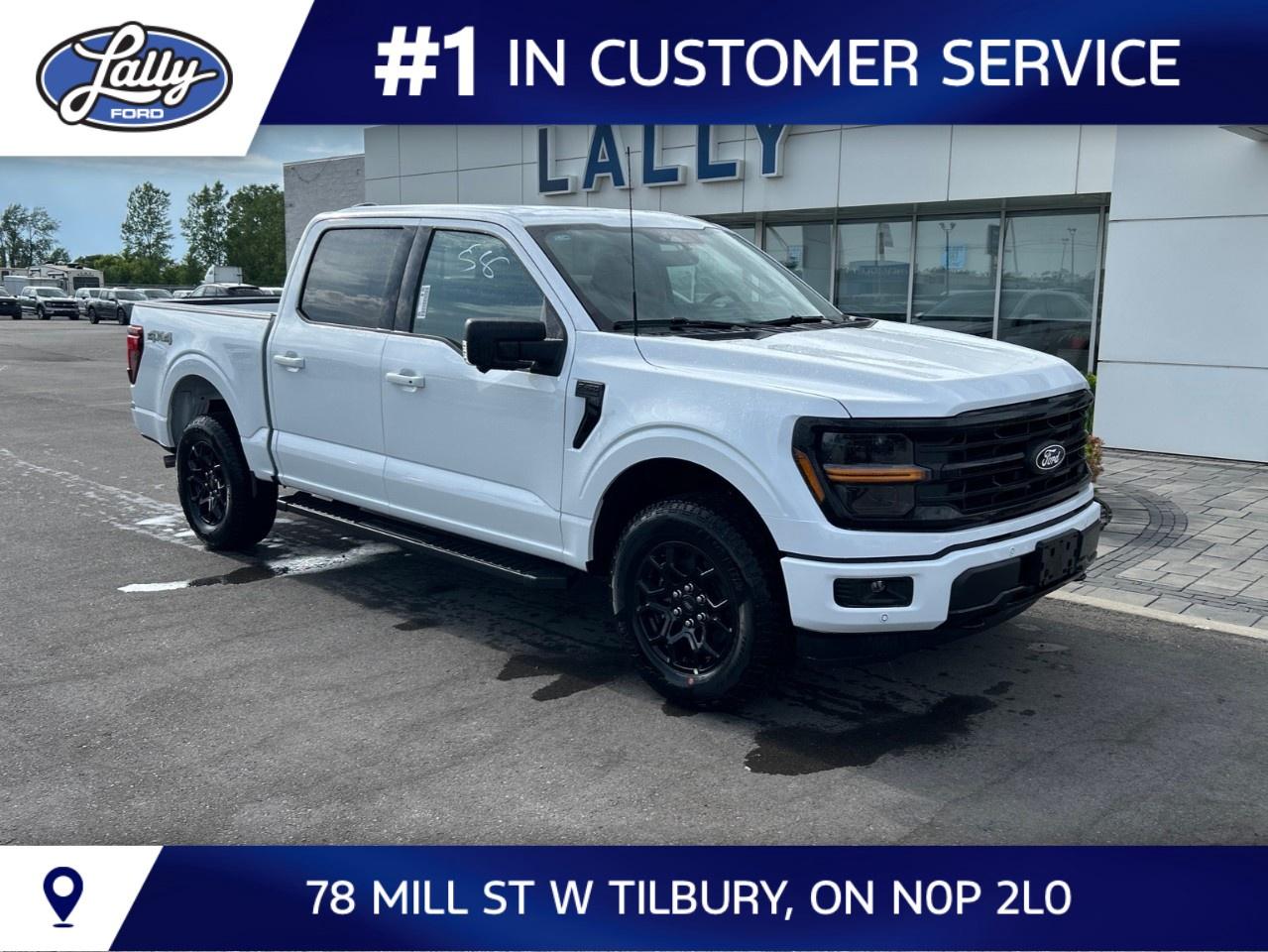 2026 Ford F-150 XLT 4WD SuperCrew 5.5' Box Photo0