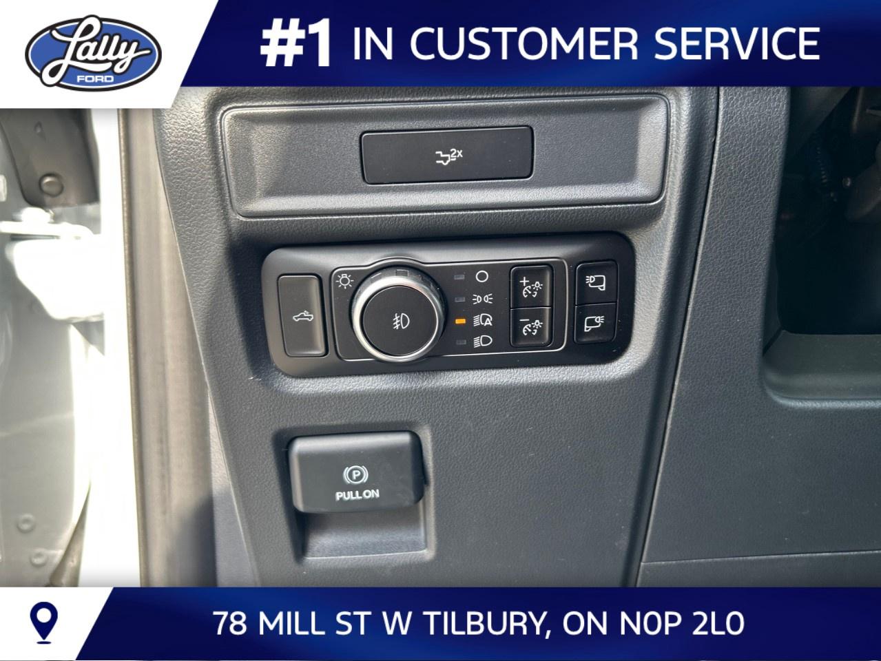 2026 Ford F-150 XLT 4WD SuperCrew 5.5' Box Photo