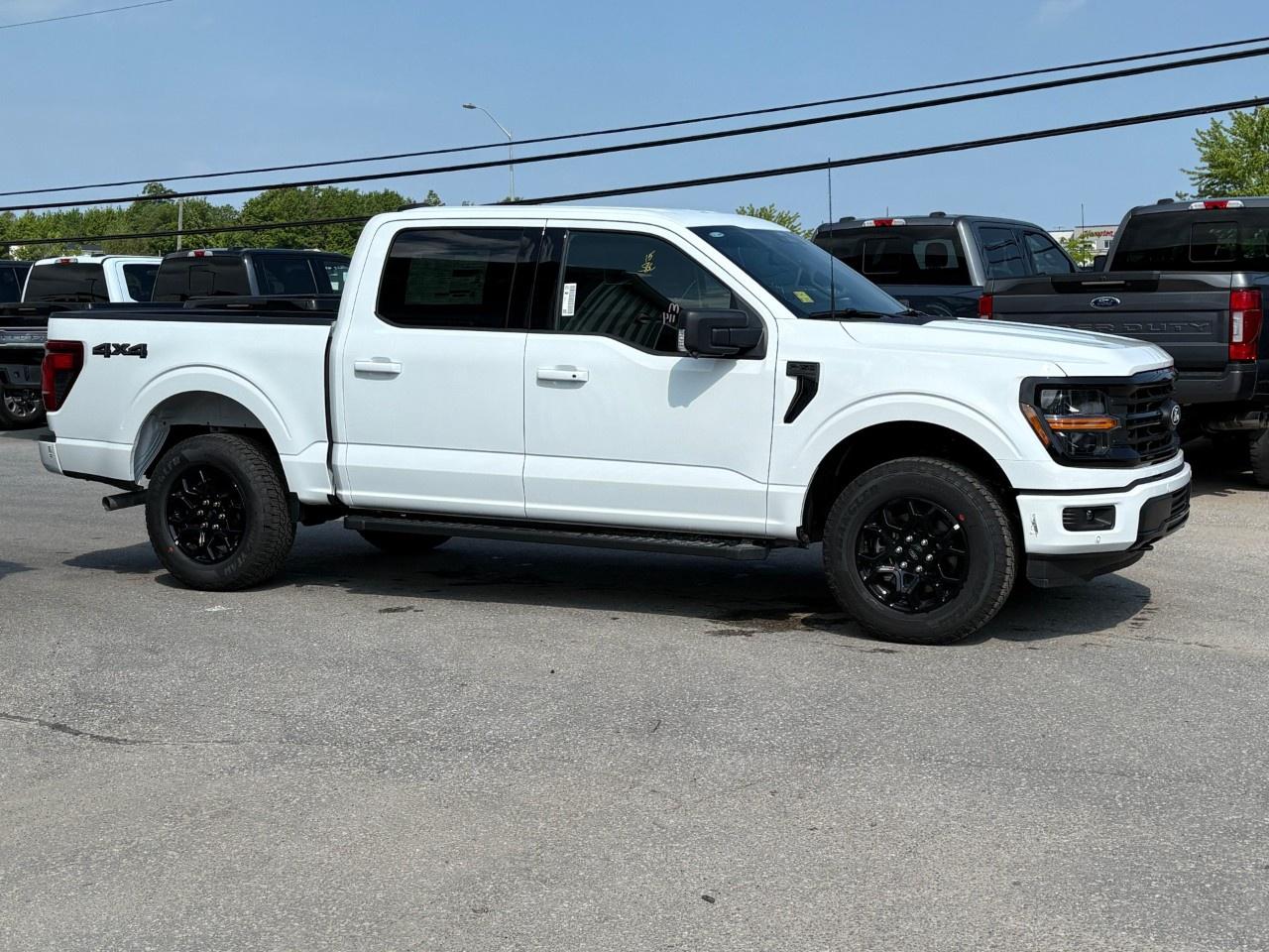 2026 Ford F-150 XLT 4WD SuperCrew 5.5' Box Photo4