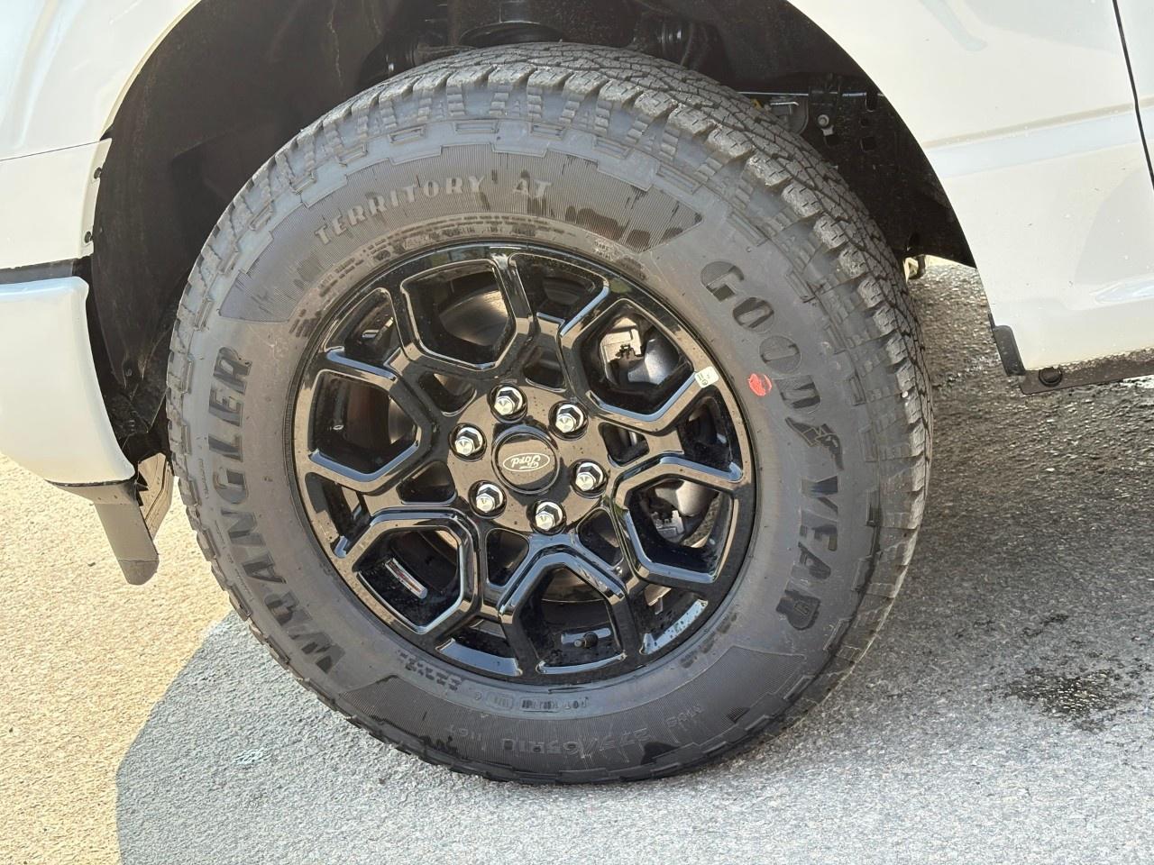 2026 Ford F-150 XLT 4WD SuperCrew 5.5' Box Photo