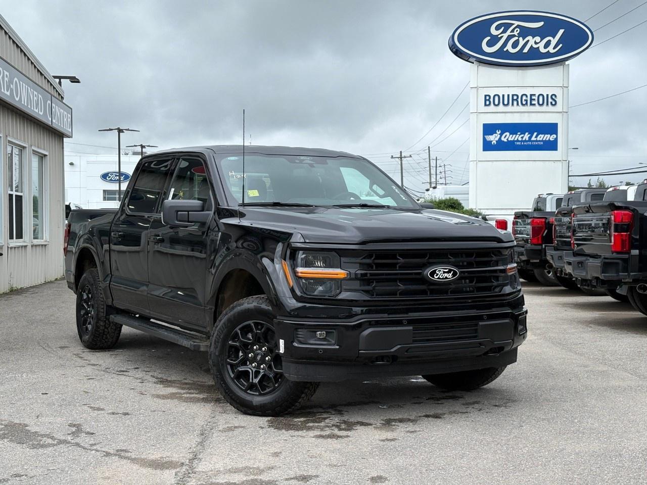 2026 Ford F-150 XLT 4WD SuperCrew 5.5' Box Photo