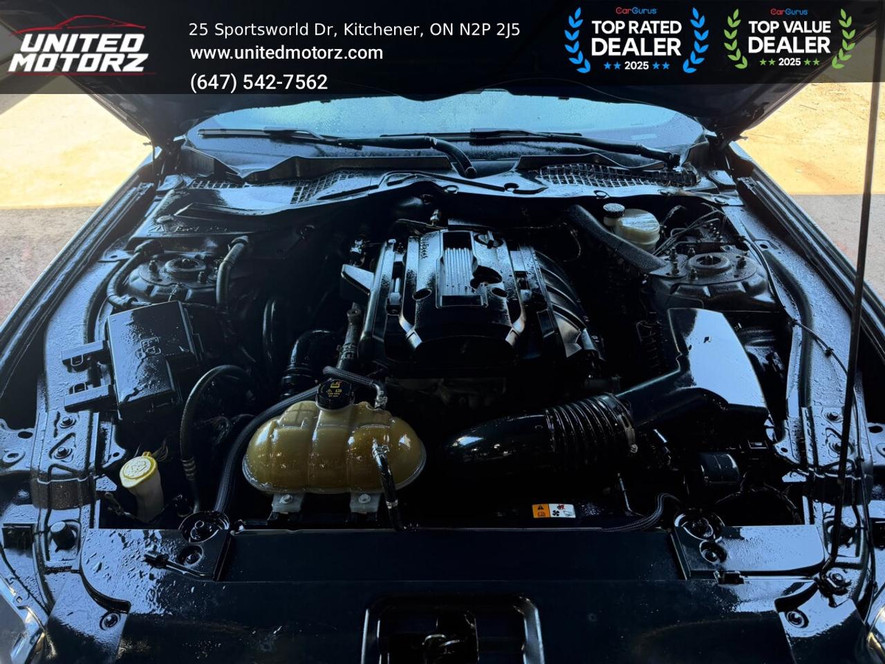 2015 Ford Mustang EcoBoost PREMIUM~SAFETY CERTIFIED~ 28 SERVICE RECO Photo