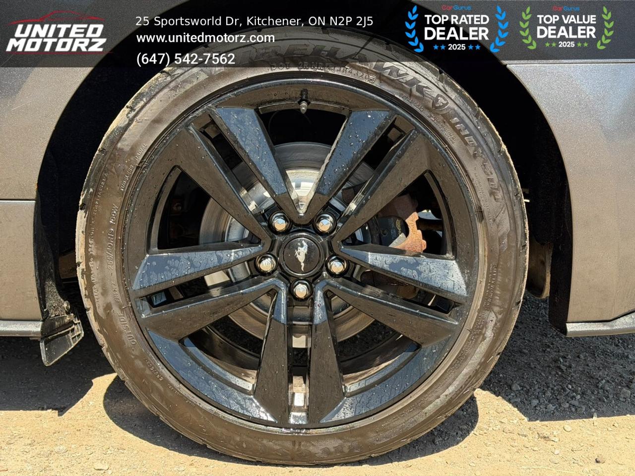 2015 Ford Mustang EcoBoost PREMIUM~SAFETY CERTIFIED~ 28 SERVICE RECO Photo