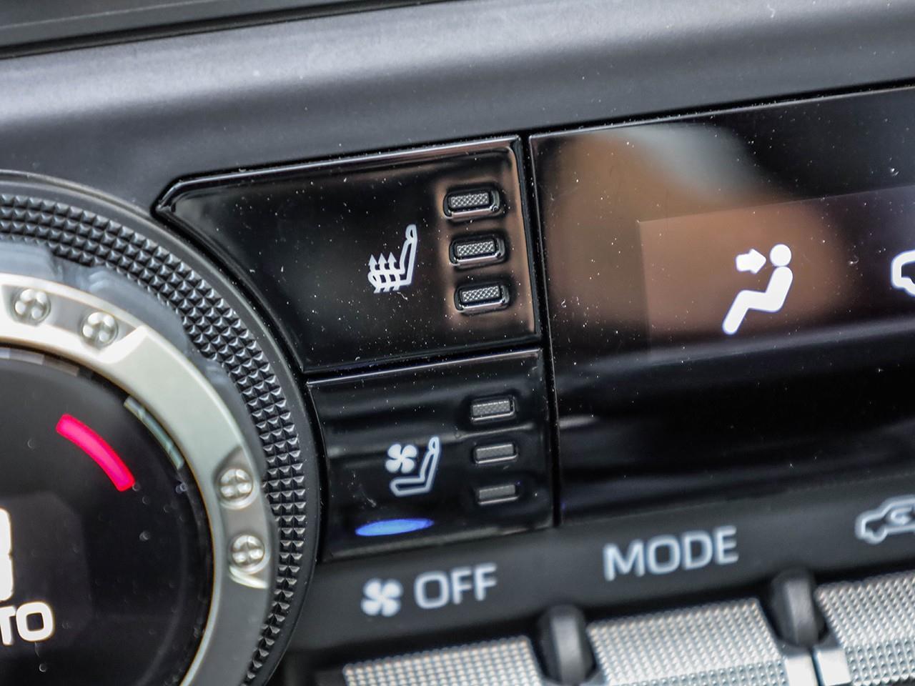 2025 Toyota TACOMA HYBRID  Photo