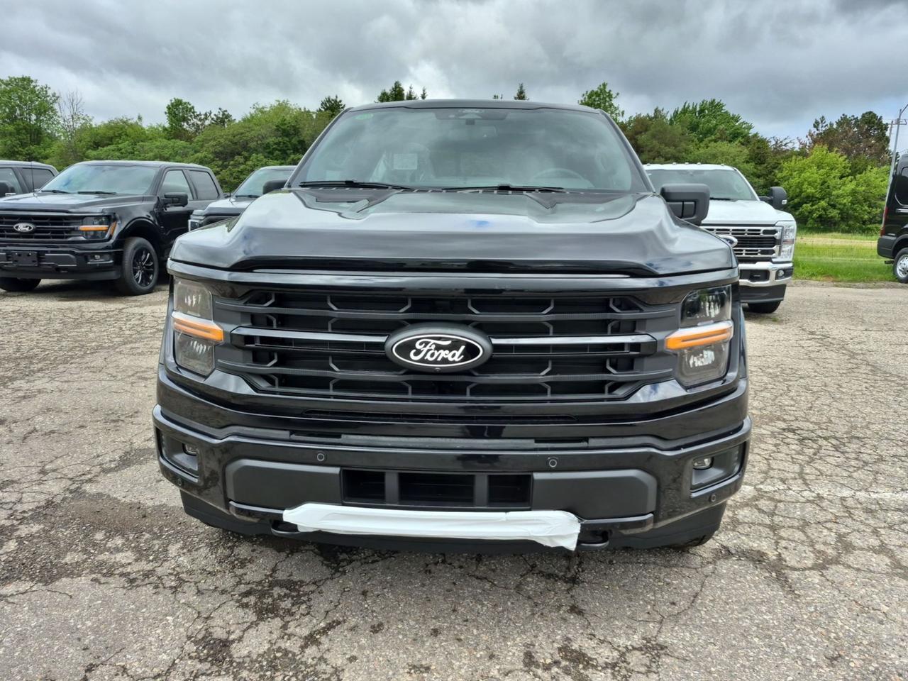 2026 Ford F-150 XLT 303A PKG, MOONROOF, BLACK APPEARANCE PKG Photo