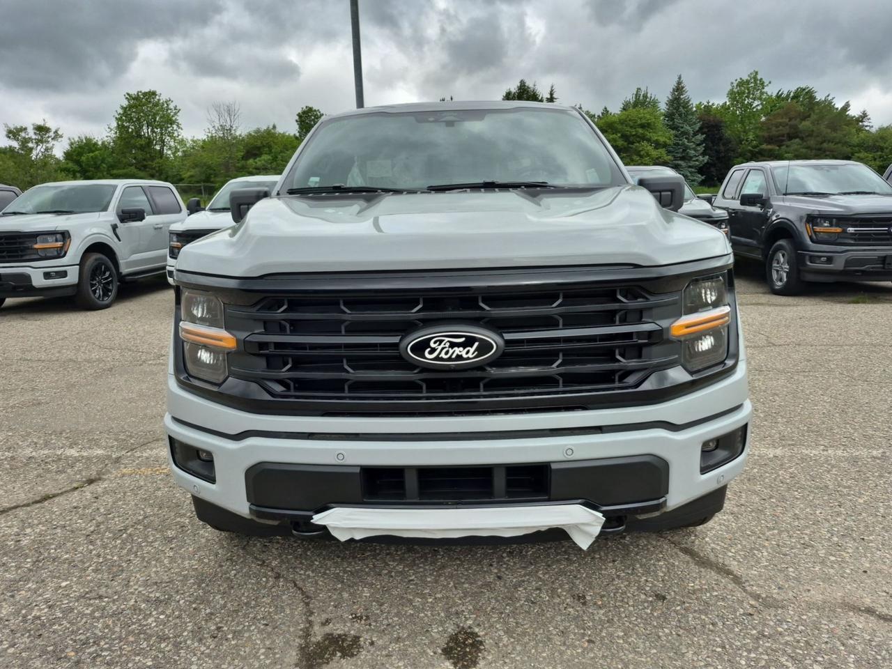 2026 Ford F-150 XLT, BLACK PKG, 360 CAMERA, PRO TRAILER ASSIST Photo