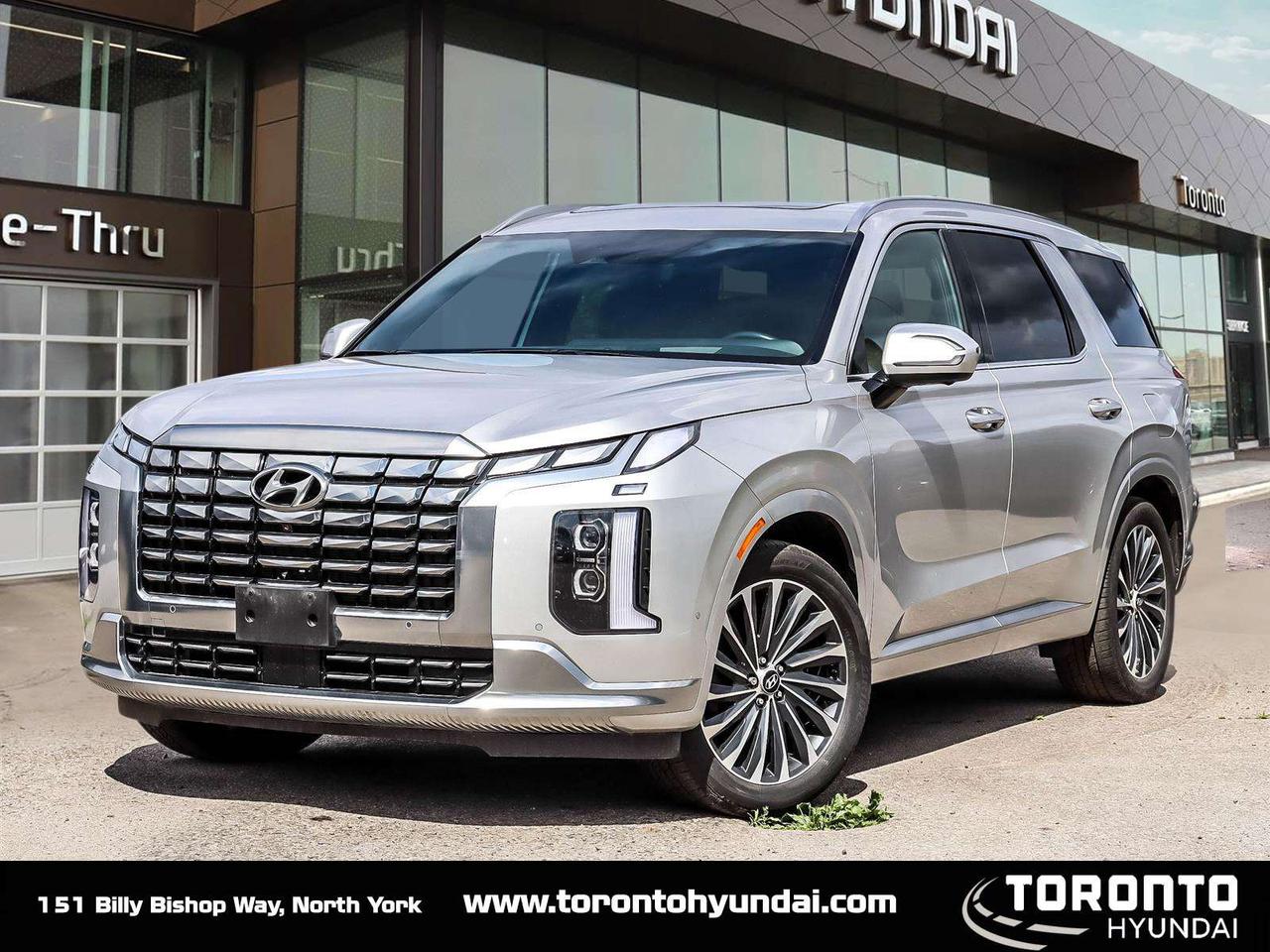 2025 Hyundai PALISADE Ultimate Calligraphy Photo0