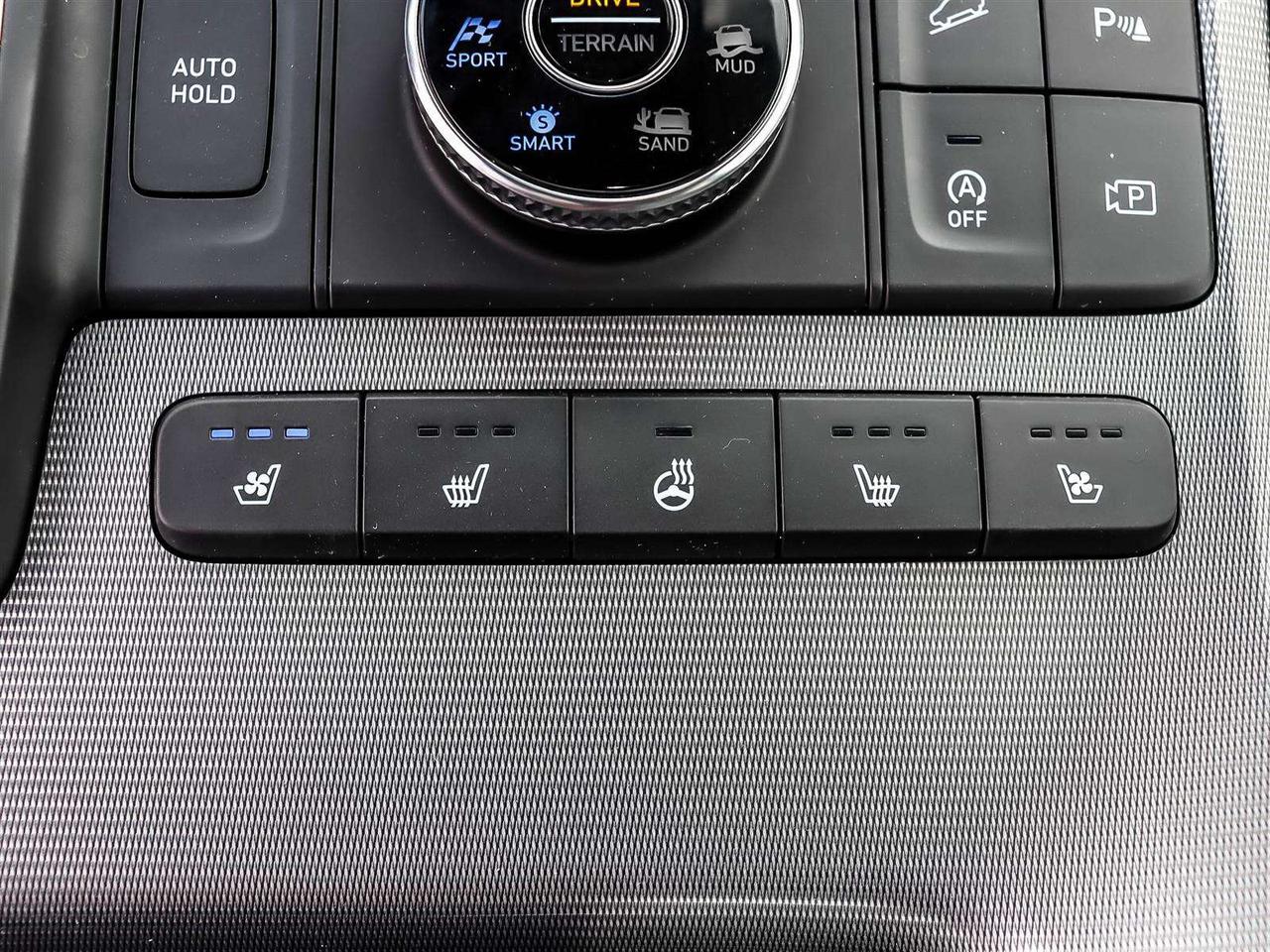 2025 Hyundai PALISADE Ultimate Calligraphy Photo
