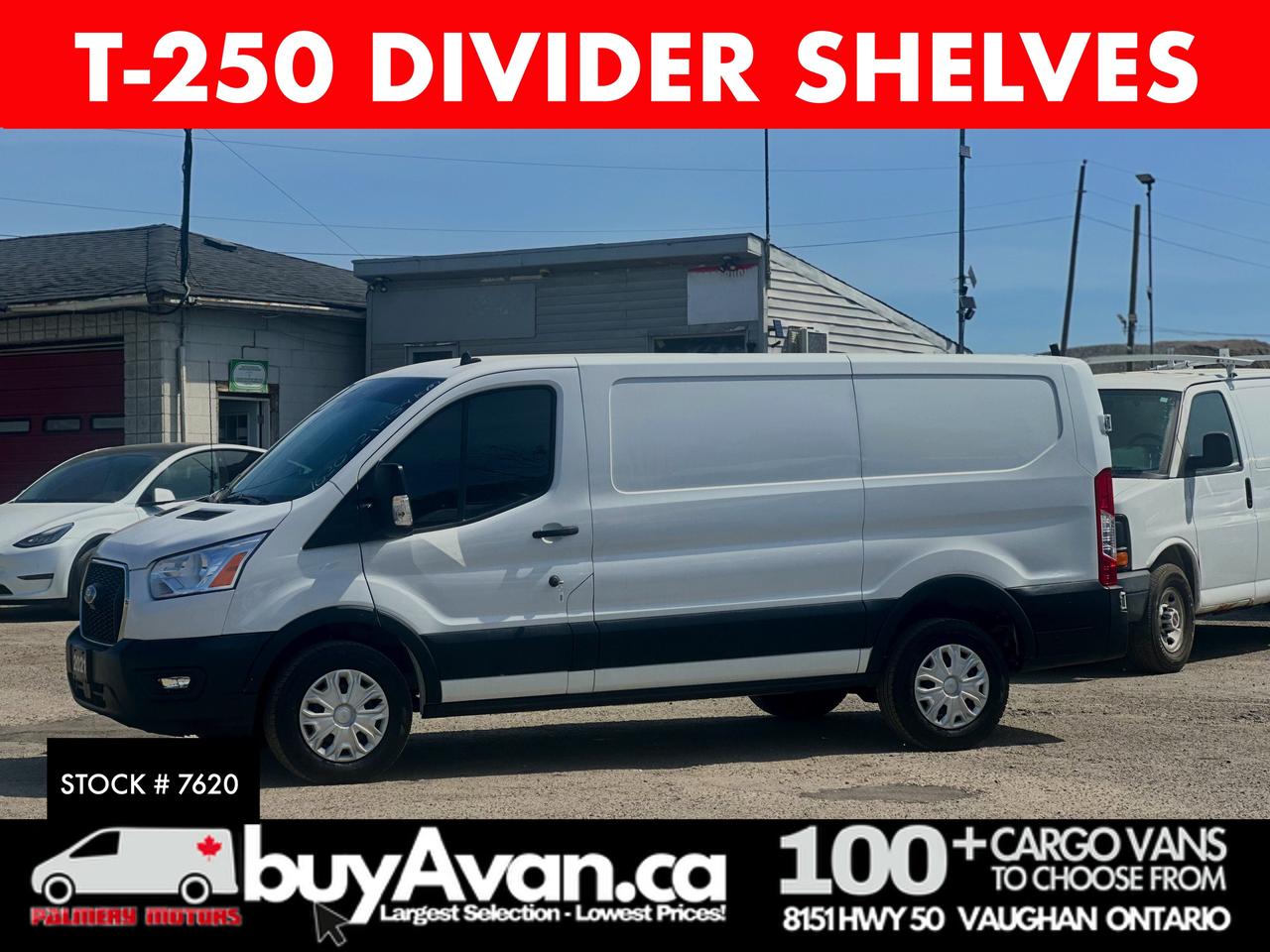 2021 Ford Transit Cargo Van Transit T-250 130 WB Divider + Shelves Photo