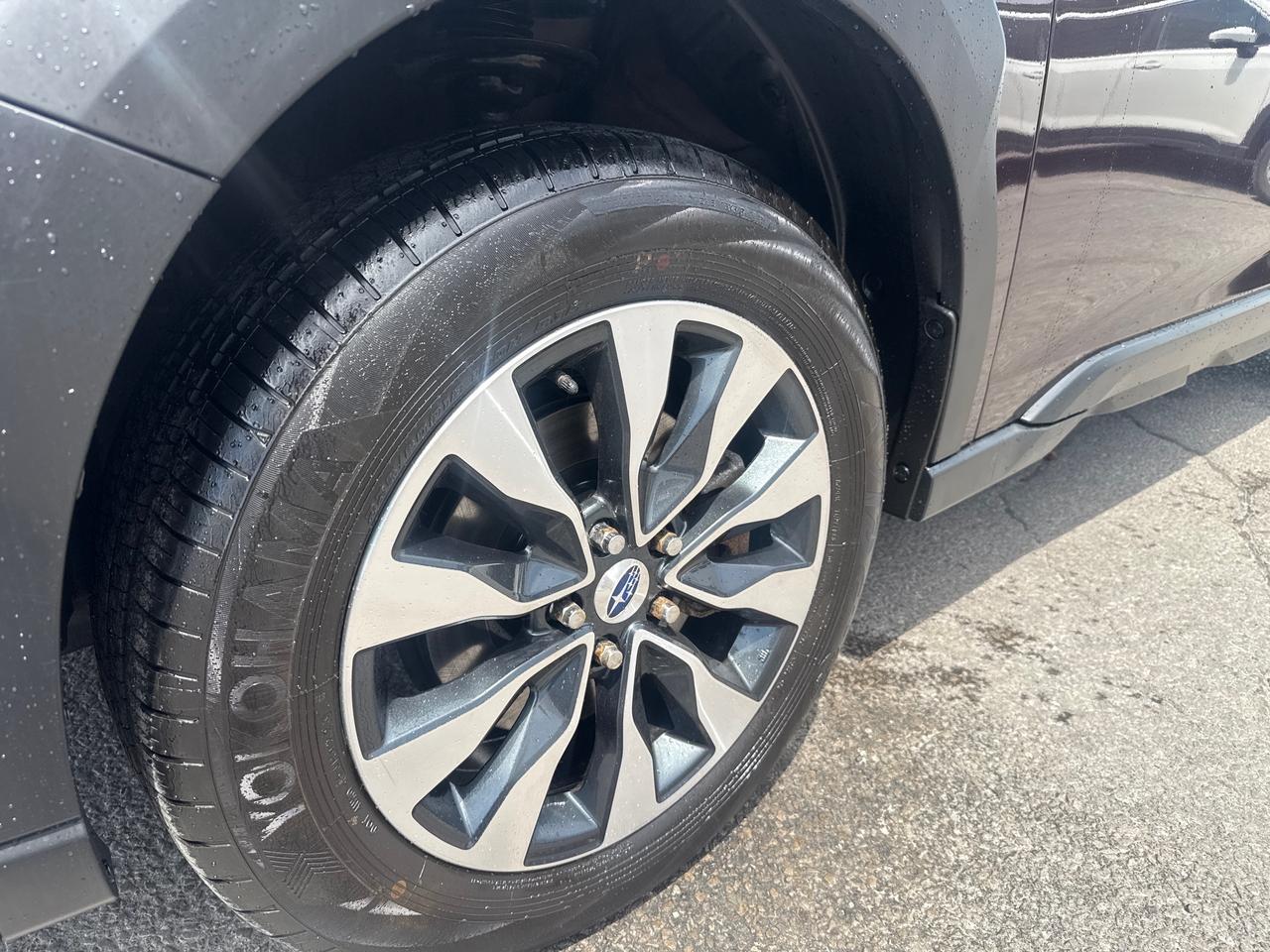 2024 Subaru Outback Premier XT 4dr All-Wheel Drive Photo