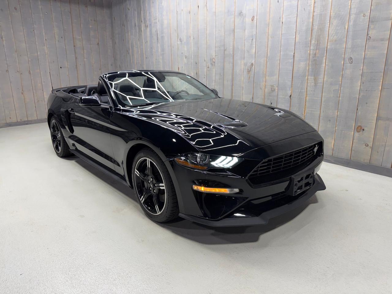 2021 Ford Mustang GT Premium Convertible California Special Photo