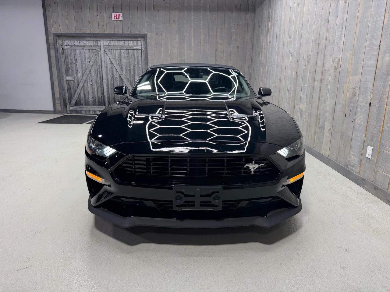 2021 Ford Mustang GT Premium Convertible California Special Photo
