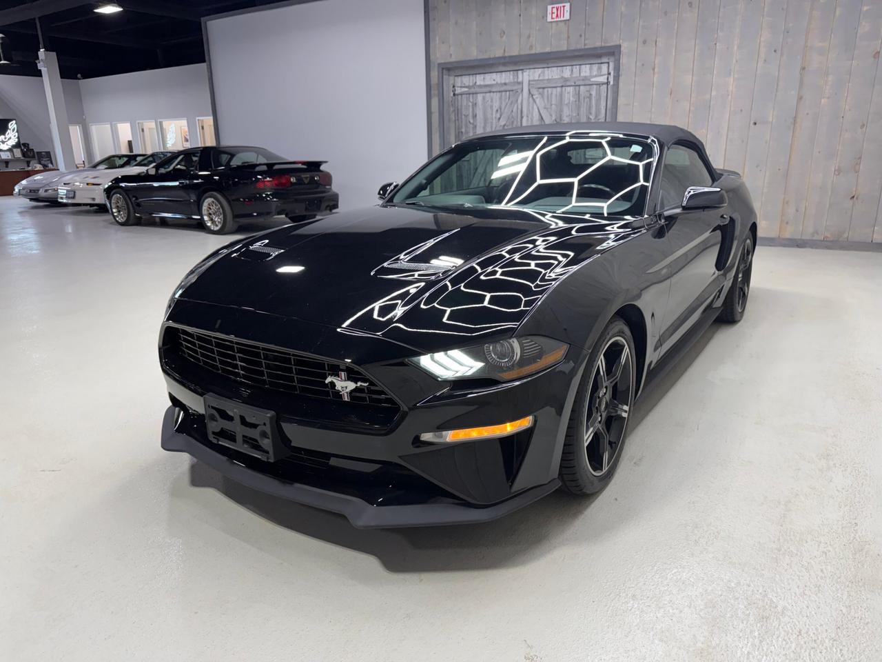2021 Ford Mustang GT Premium Convertible California Special Photo