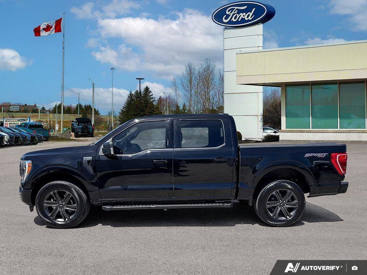 2023 Ford F-150 XLT   302A   MOONROOF   360 CAMERA Photo3