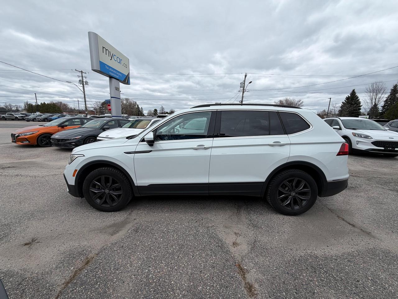2024 Volkswagen Tiguan Comfortline 4dr All-wheel Drive 4MOTION Photo