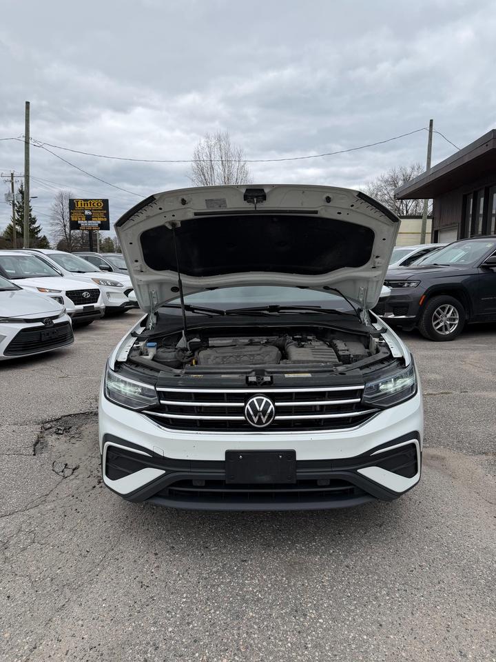 2024 Volkswagen Tiguan Comfortline 4dr All-wheel Drive 4MOTION Photo