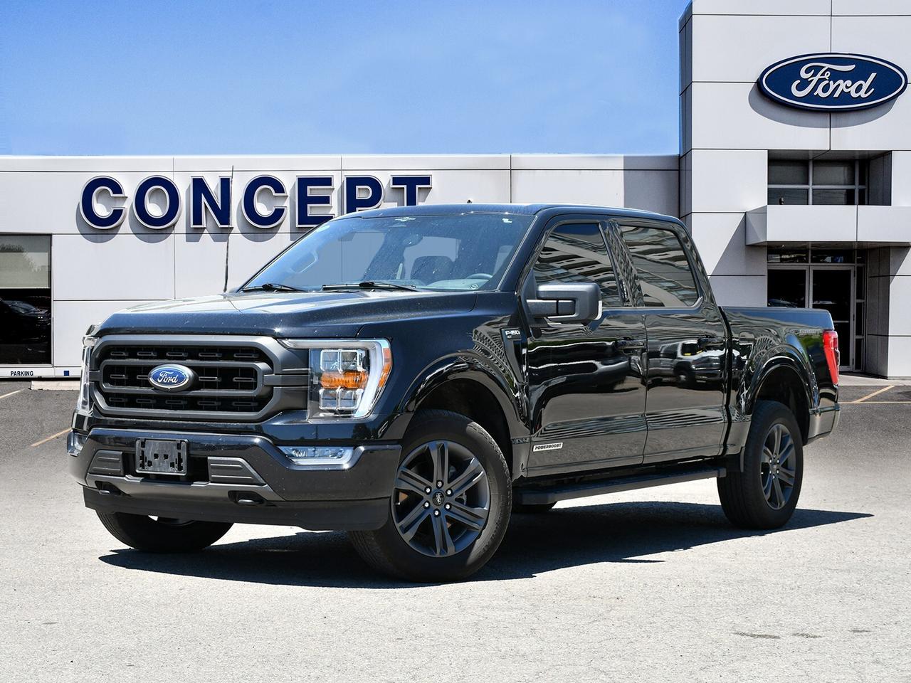 2023 Ford F-150 XLT 302A   Hybrid   4x4   Fuel Efficient Photo