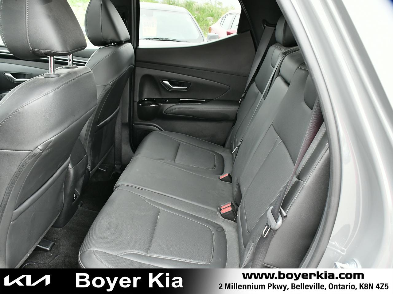 2024 Hyundai Santa Cruz TREND Photo
