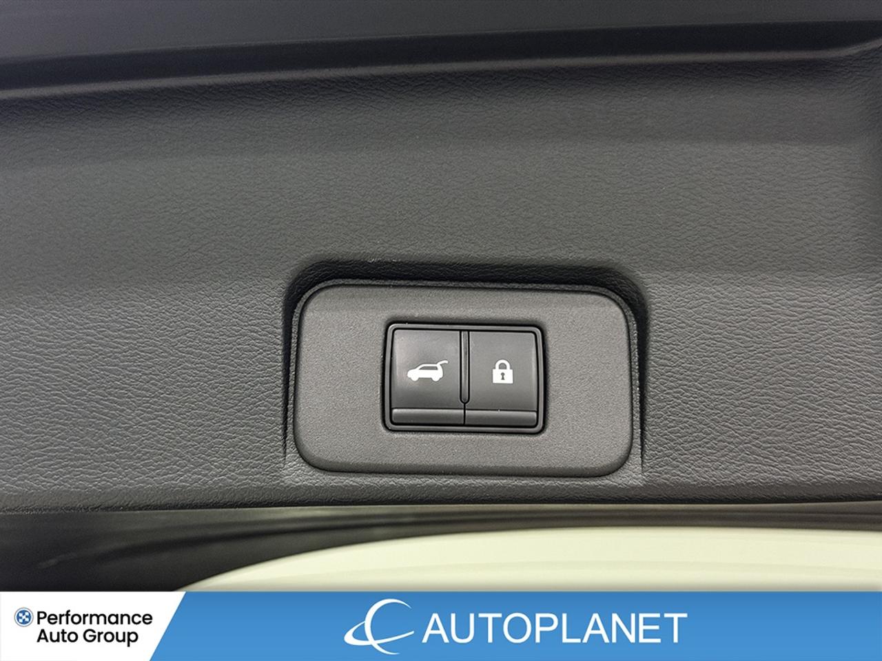 2025 Nissan Rogue SV AWD, Apple CarPlay, Back Up Cam, Pano Roof! Photo