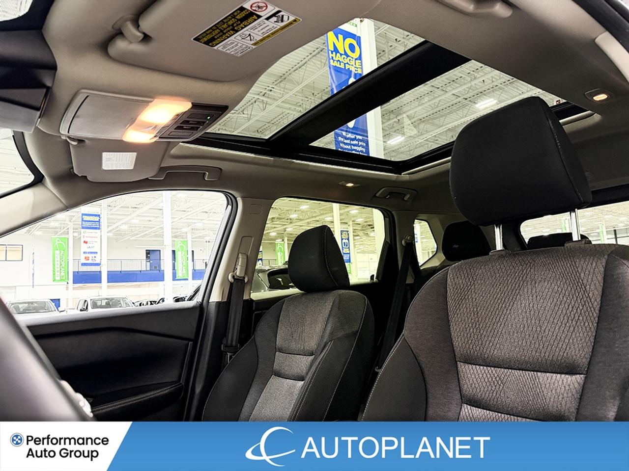2025 Nissan Rogue SV AWD, Apple CarPlay, Back Up Cam, Pano Roof! Photo